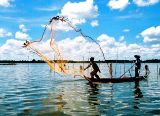 Tour du lịch Cà Mau: Chinh phục cực Nam của Tổ Quốc Tour du lịch Cà Mau: Chinh phục cực Nam của Tổ Quốc