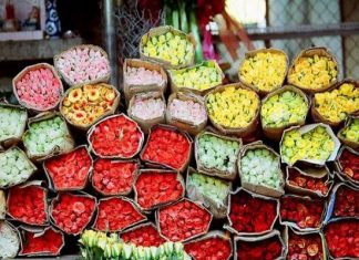 Khám phá chợ hoa Hồ Thị Kỷ – Thiên đường ẩm thực và hoa tươi ở Sài Gòn Khám phá chợ hoa Hồ Thị Kỷ