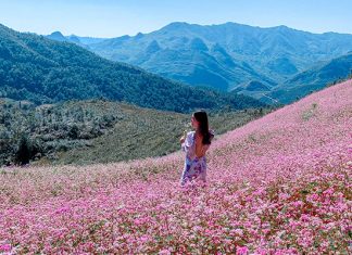 Tham khảo kinh nghiệm du lịch Hà Giang Mùa Thu hữu ích dành cho du khách Tham khảo kinh nghiệm du lịch Hà Giang Mùa Thu hữu ích dành cho du khách