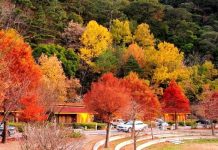 Trang trại Wuling - thiên đường du lịch sinh thái nổi tiếng Đài Loan